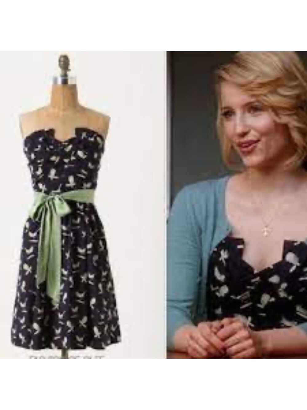 Anthropologie Porridge Strapless Bird Print Dress